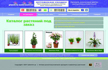 Проект "Интернет-магазин декоративных растений"